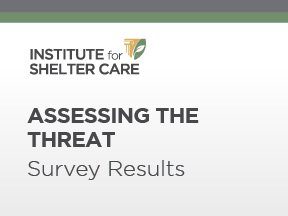Assessing the Threat – Survey Results